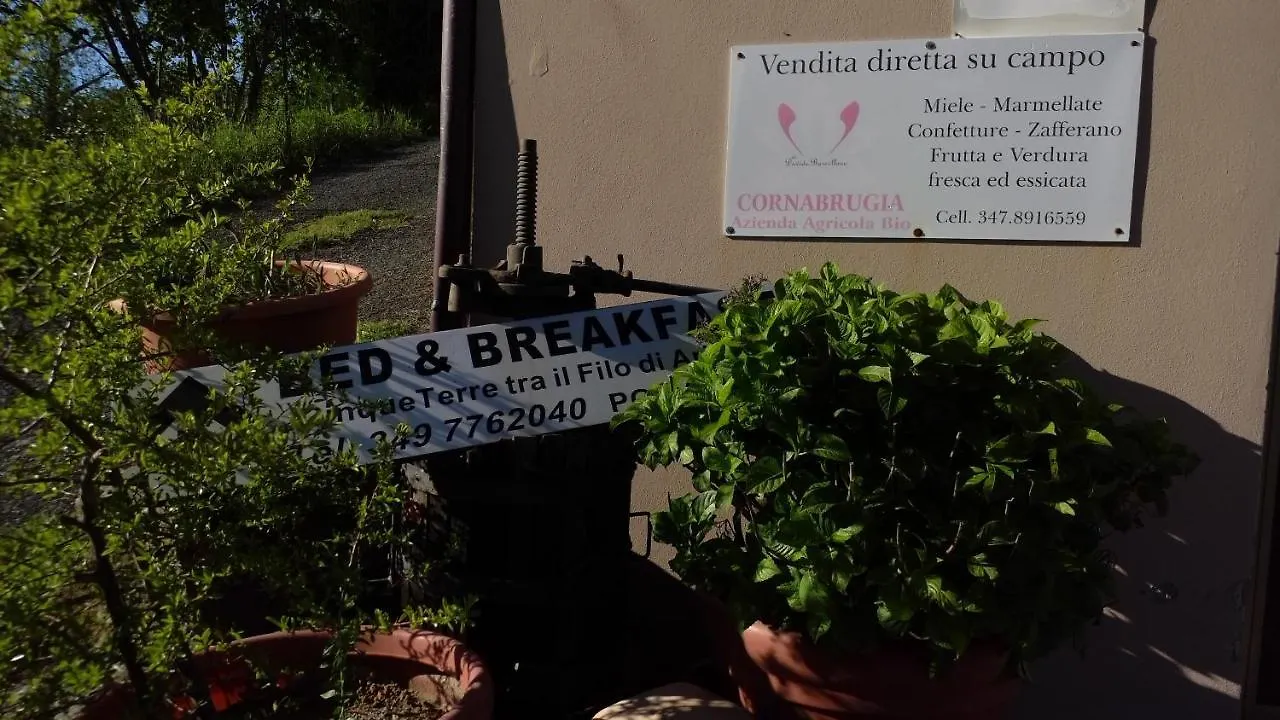 Cinque Terre Tra Il Filo Di Arianna Acomodação com café da manhã Riccò del Golfo di Spezia Itália
